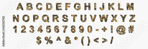 Fototapeta Naklejka Na Ścianę i Meble -  Creative typeset- stylish classic font. 3d illustration character collection