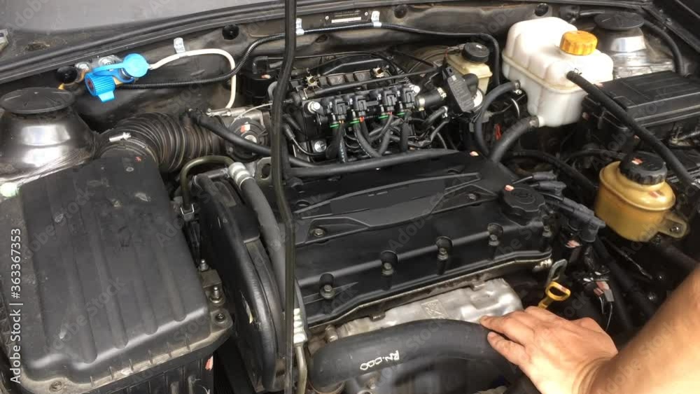 motor vehicle arrangement motor vehicle arrangement
