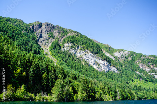 Rocks and trees A wooded, rocky mountainside at Horne Lake