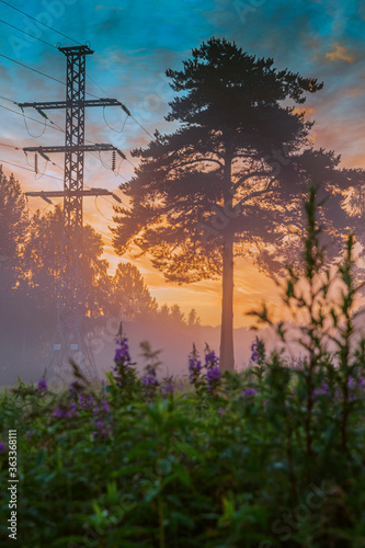 Bright sunrise in colorful foggy forest with tree and power line

