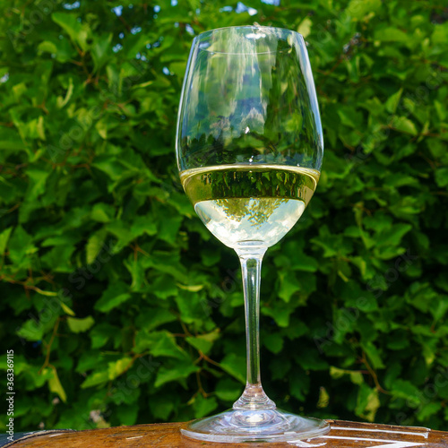 White wine in a glass on green leaves background. Space for text. Wine concept.