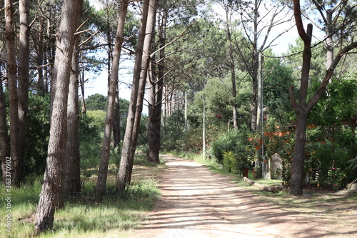 Typical dirt road in the interior of Uruguay