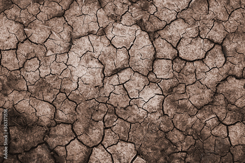 Fototapeta Dry and cracked soil ground during drought, viewed from above