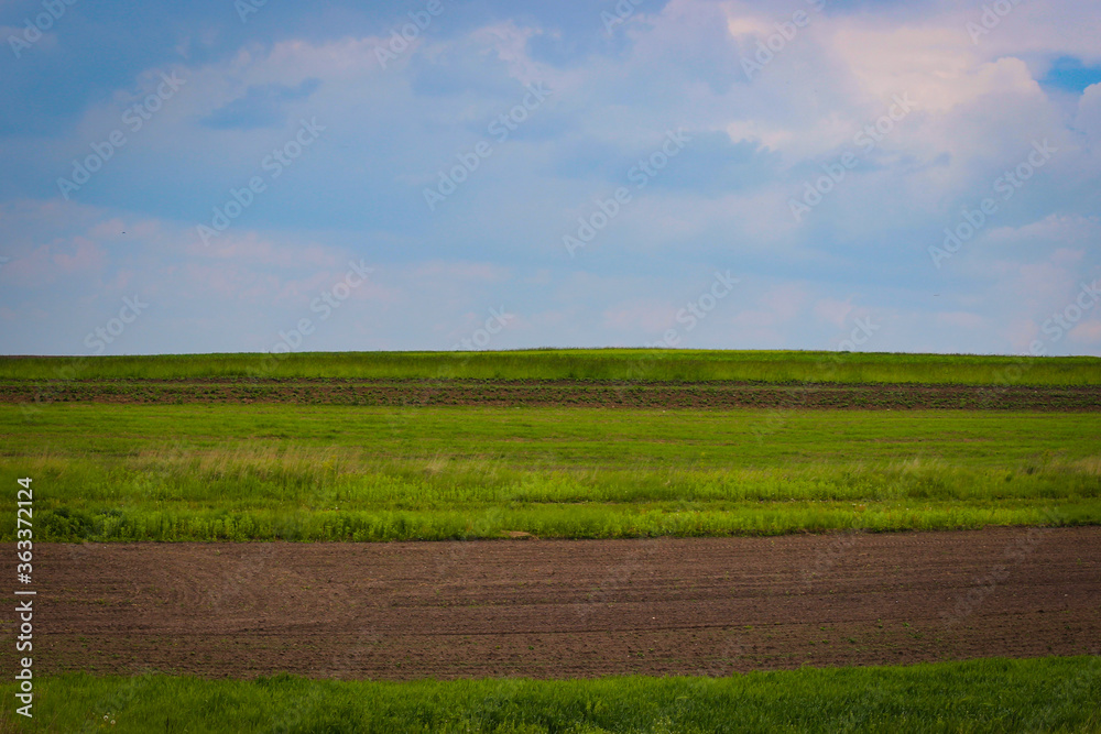 Obraz premium Wonderful View Of The Field On Which Alternately Seeded And Plowed Stripes Of Land