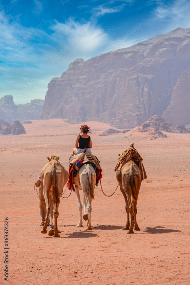 Fototapeta premium Female tourist riding a camel in the Wadi Rum desert 