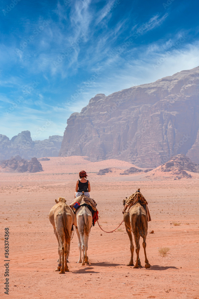Fototapeta premium Female tourist riding a camel in the Wadi Rum desert 
