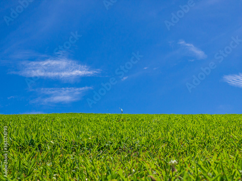 夏のさわやかな青空と公園の青々とした芝生02