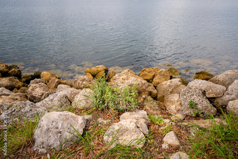 Rocks by the water