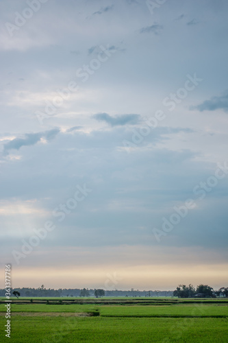 Green field and large sky vertical photo