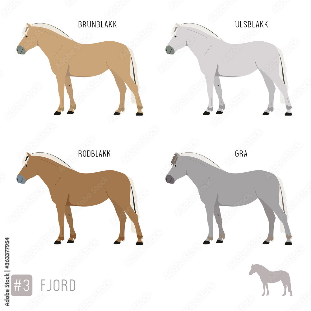 Horse Breeds: Set of Vector Fjord Ponies
