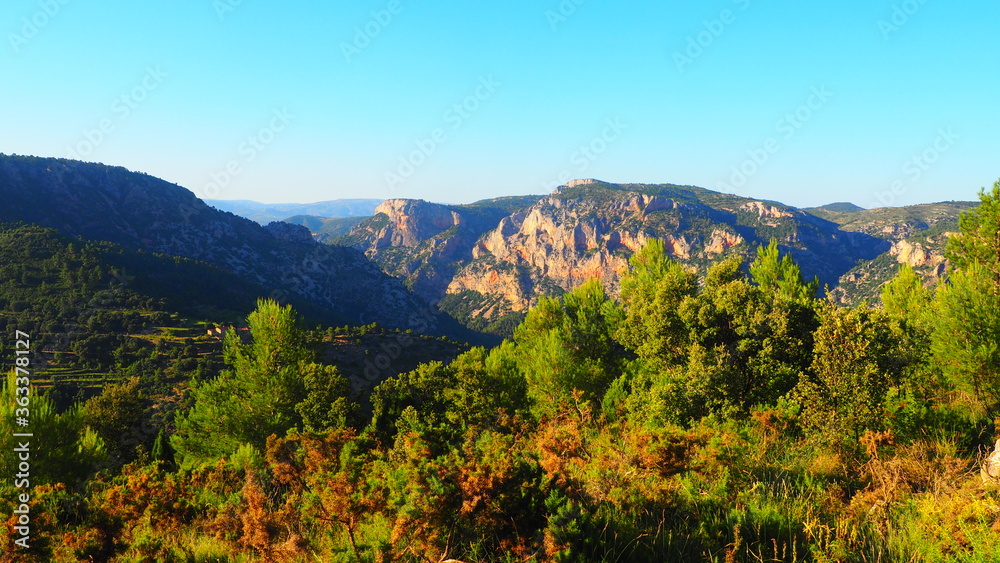 Colorful rugged mountains and pine trees with blue sky background