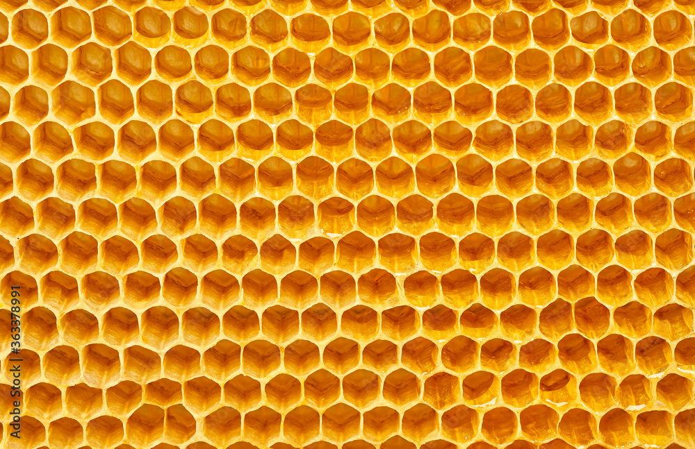 Background texture and pattern of wax honeycombs from a bee hive. Hexagon background texture.