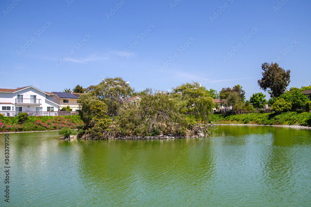 Small island with herons in the middle of the pond