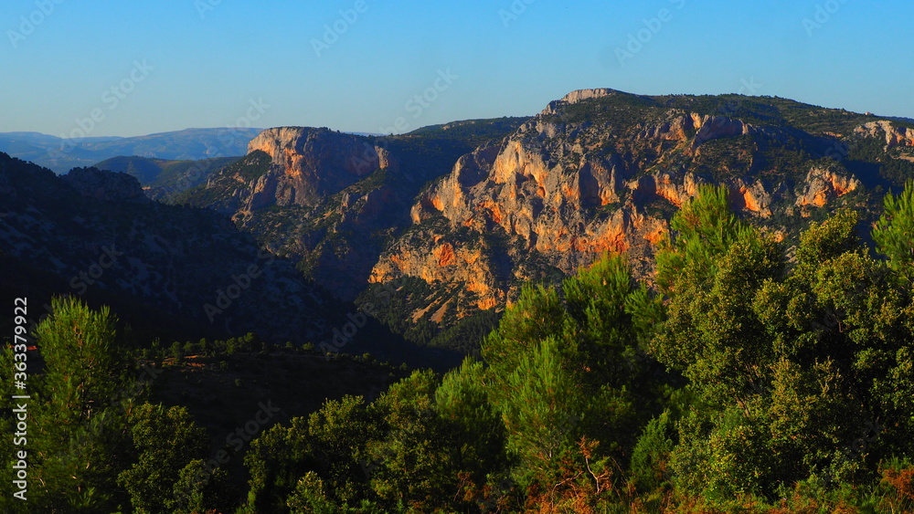 Colorful rugged mountains and pine trees with blue sky background