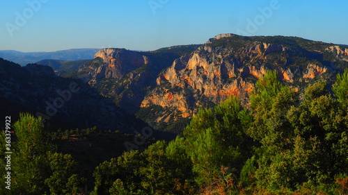 Colorful rugged mountains and pine trees with blue sky background © Búho