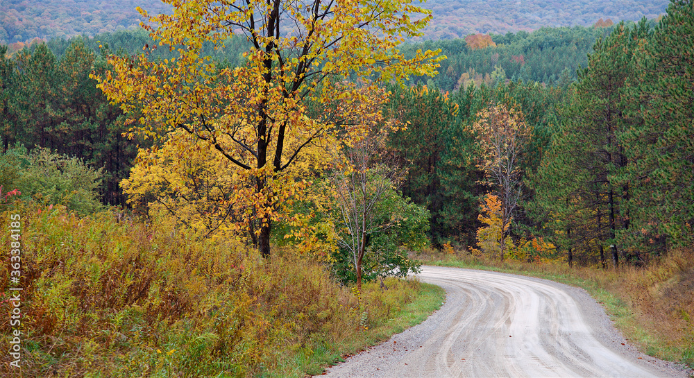 Winding country road in rural scenery