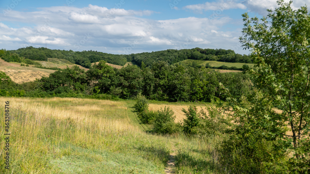 Walk in the wooded hills, dotted with fields
Walk in the wooded hills, dotted with fields