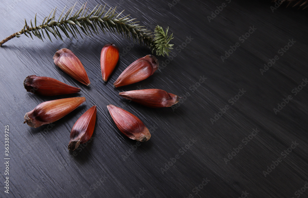 Typical araucaria seeds used as a condiment in Brazilian cuisine in winter. Brazilian pinion nuts in brown and red wooden bowl on gray wooden background