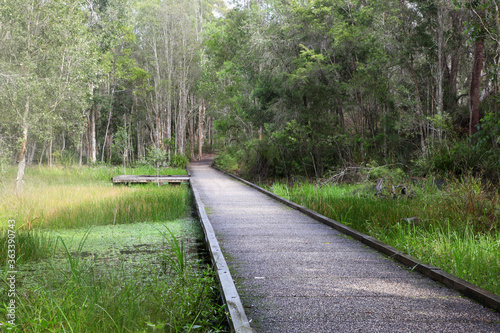 Walking tracks leading through Ewan Maddock Dam, Sunshine Coast, Queensland, Australia.  Featuring forest, tracks, water and foliage photo