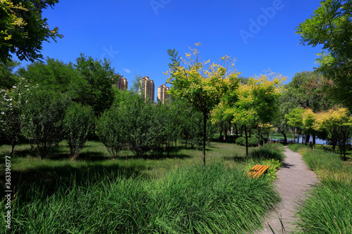 Natural Scenery of Urban Parks © YuanGeng