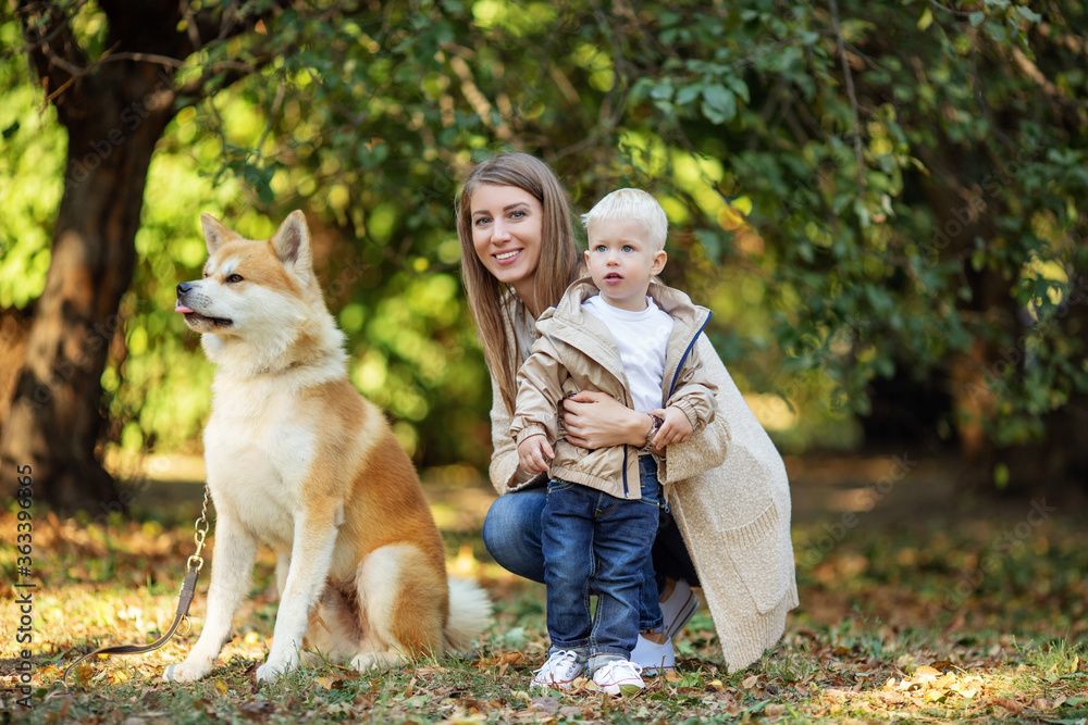 Obraz premium mom hugs her son near the red dog Akita inu in autumn Park