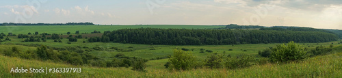 fields in the summer in the Russian hinterland