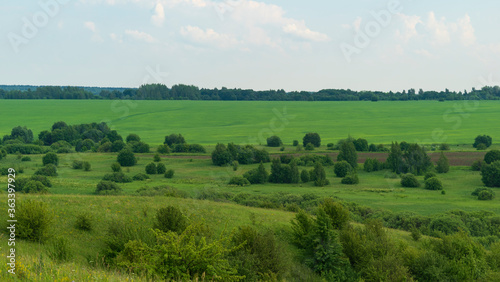 fields in the summer in the Russian hinterland