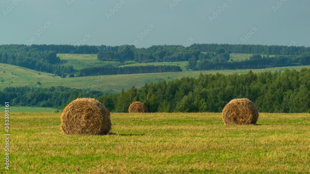 hay bales in the field