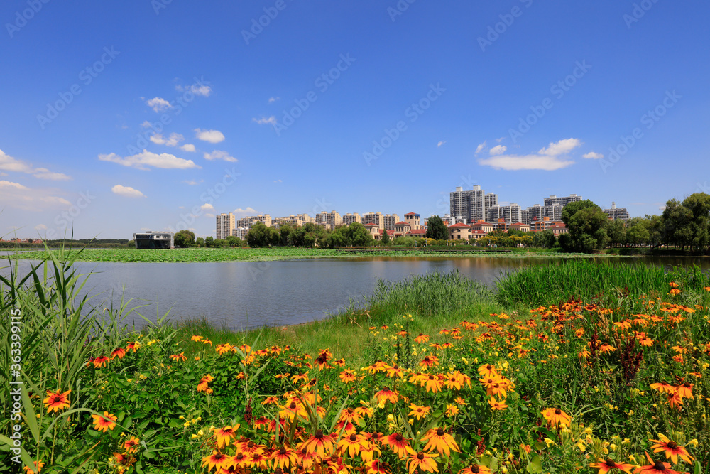Natural Scenery of Urban Parks