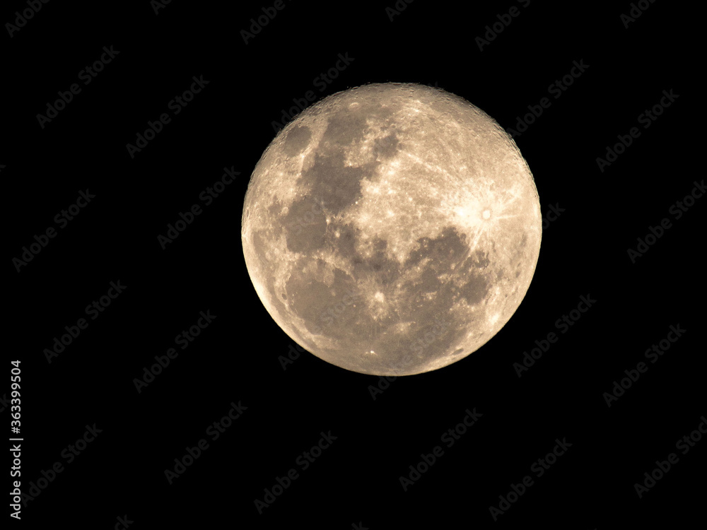 Naklejka premium The moon