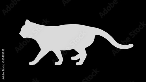 Cat silhouette walk run side