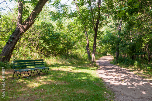 A wooden park bench next to a hiking path in Frick Park on a sunny summer day, Pittsburgh, Pennsylvania, USA © woodsnorth