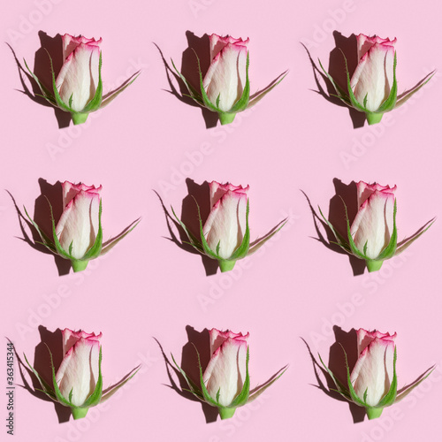 Seamless pattern with pink rose flower with dark shadow from hard light. Wallpaper texture.