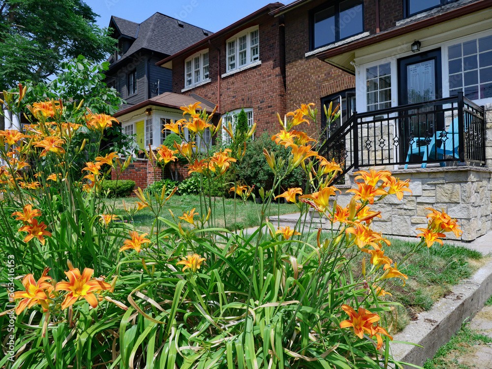 Street with two story houses and colorful flowers in front yard