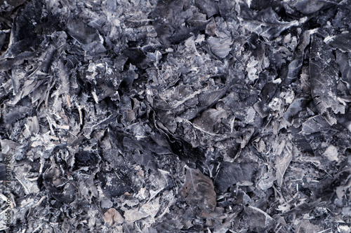 burnt and charred paper texture