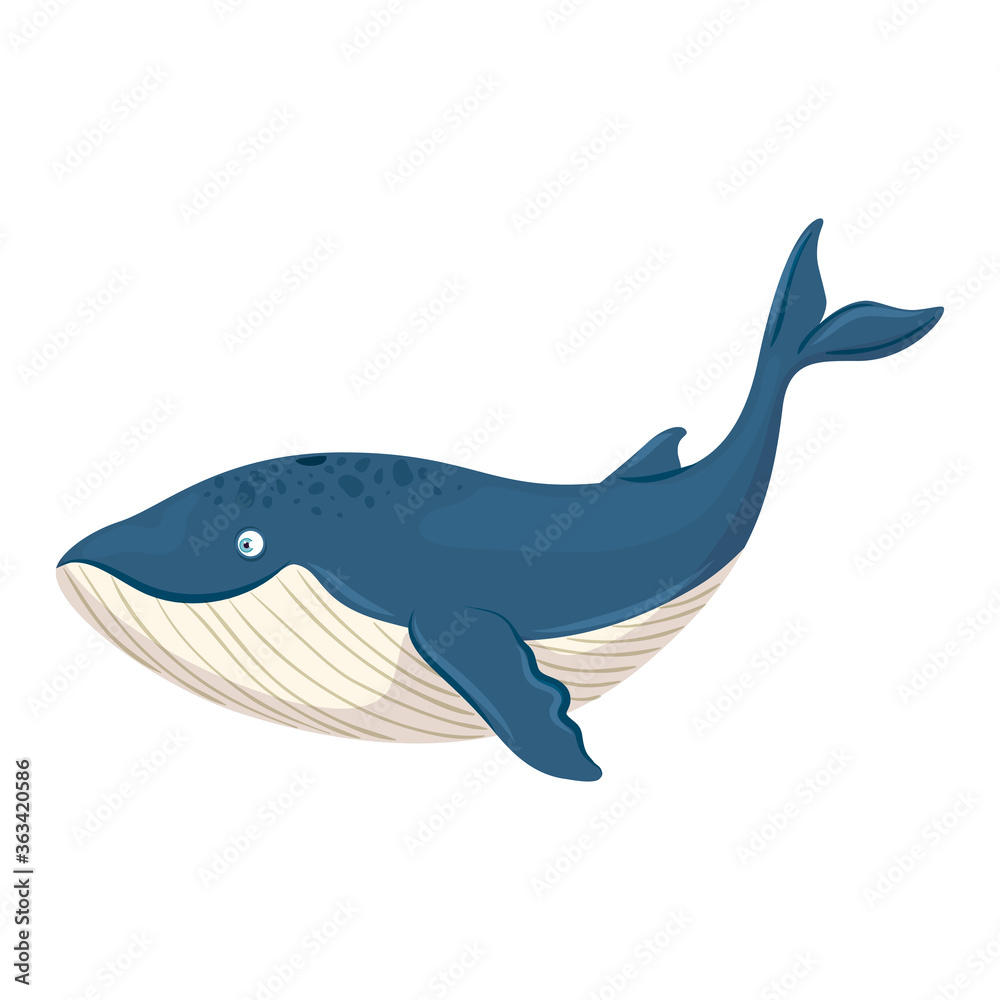 sea underwater life, blue whale animal on white background vector illustration design