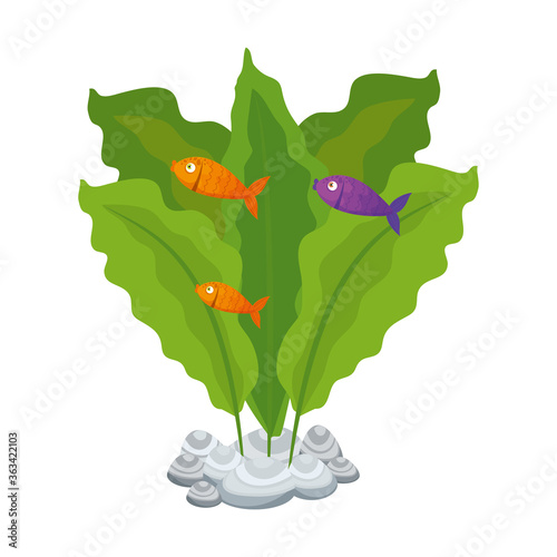 sea underwater life, fishes with seaweed on white background vector illustration design