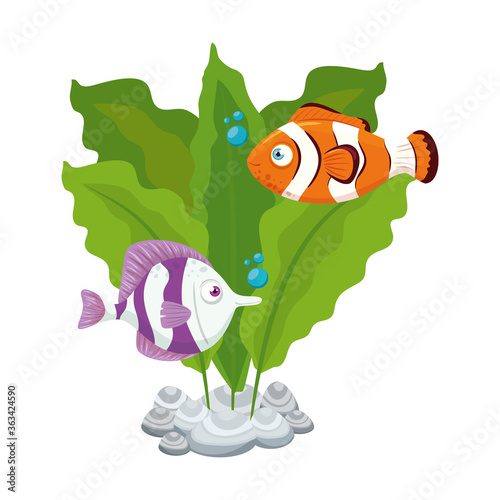 sea underwater life, fishes with seaweed on white background vector illustration design