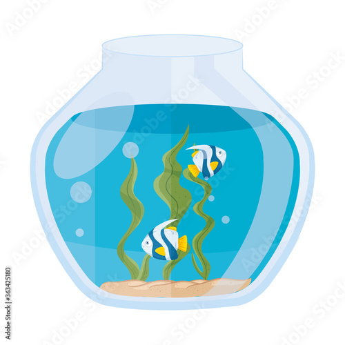 aquarium fishes with water, seaweed, aquarium marine pet vector illustration design