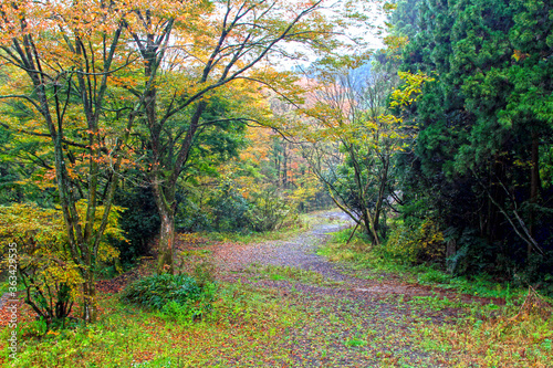 Shiraito Natural Park in Fujinomiya, Shizuoka Prefecture, Japan.