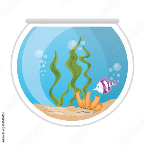 aquarium fish with water,seaweed, coral, aquarium marine pet vector illustration design