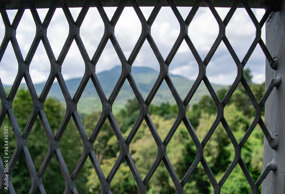 Fototapeta premium Iron bridge for tourists to see the nature below.