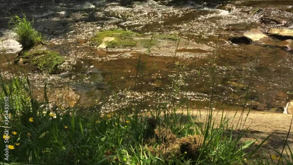 Hyperlapse: clear fresh shallow brown river water flowing down stream by grassy green and dirt edge on sunny day, handheld pan up and left Hyperlapse: clear fresh shallow brown river water flowing down stream by grassy green and dirt edge on sunny day, handheld pan up and left