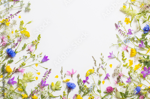beautiful wild flowers on white background © Maya Kruchancova