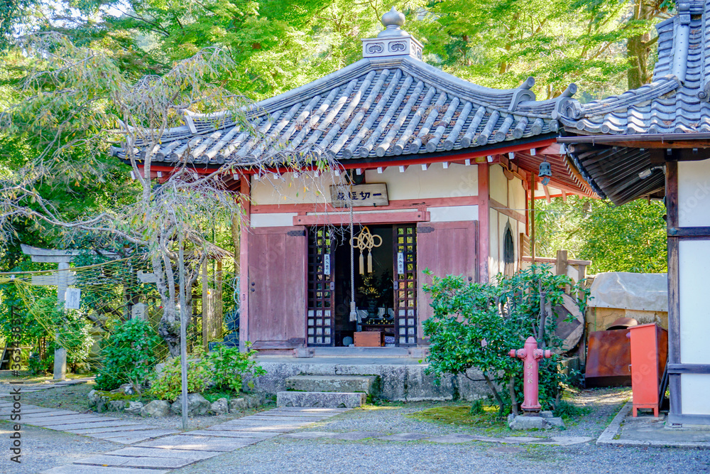 Naklejka premium 毘沙門堂門跡