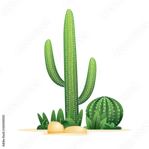 Cactuses and Stones Isolated on White.