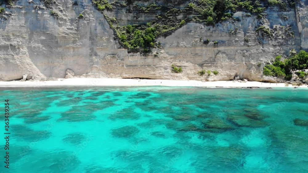 White Sand beach at the bottom of large cliff with Manta Ray swimming in turquoise waters. White Sand beach at the bottom of large cliff with Manta Ray swimming in turquoise waters.
