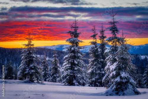 Winter sunset sunrise scene in the mountains