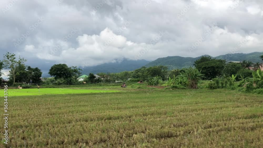 Beautiful landscape view with cloudy sky at amazing green rice field in Chiang Mai , Thailand. Beautiful landscape view with cloudy sky at amazing green rice field in Chiang Mai , Thailand.