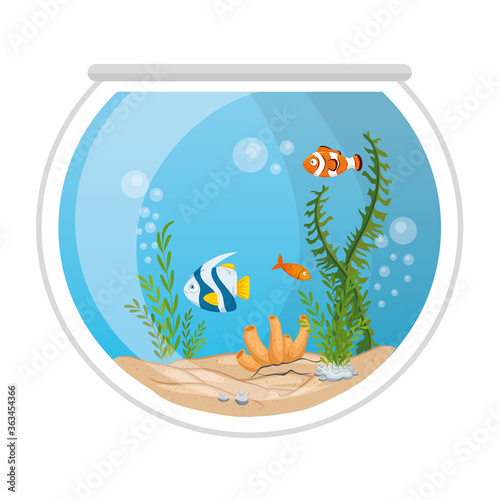 aquarium fishes with water, seaweed, coral, aquarium marine pets vector illustration design
